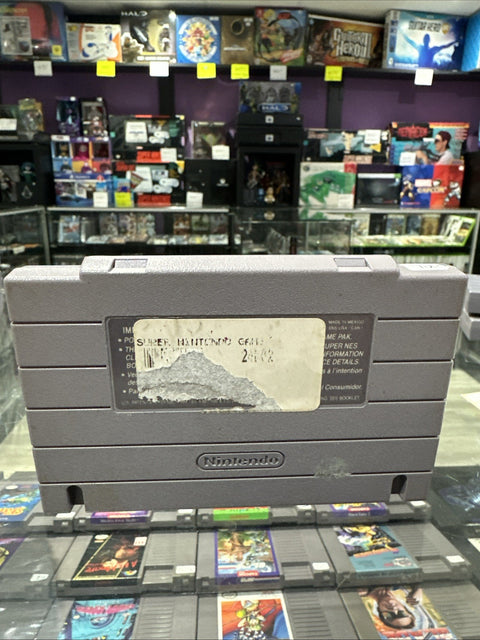 44560533